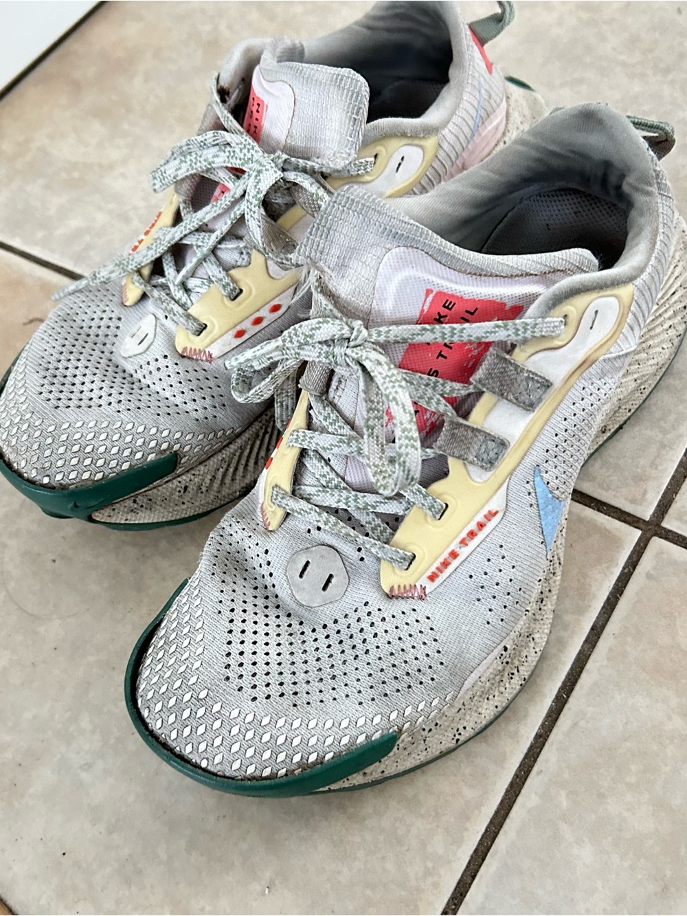 Nike Pegasus Trail Women's Light Gray Multicolor Running Sneakers